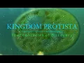 Kingdom Protista - Four Centuries Of Discovery