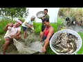 Download Lagu মাঠের নালা হেঁচে বর্ষার ছোটো ছোটো পুটি ল্যাঠা কৈ মাগুর ধরে রান্না করে খাওয়া | village fishing video