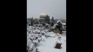 هزتني نسمات الليالي المنشد محمد مطري 