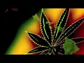 In Your Eyes - Tribal Seeds