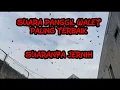 Download Lagu SUARA PANGGIL WALET PALING TERBAIKJERNI SUARANYA DAN RESPON