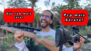 Black Bear Humilhou a Pcp Beeman 1336s ?  Rossi 6.35 mm 
