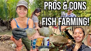 Download Things to know before you start Fish Farming in Philippines. MP3