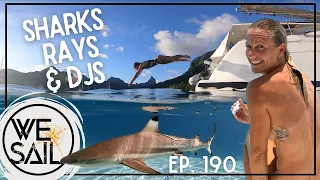 Sharks, Rays & DJs | Episode 190