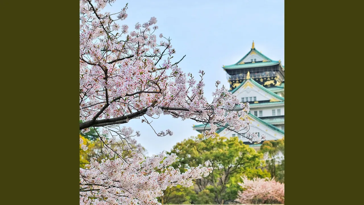 Cherry Blossoms Cherry Blossoms