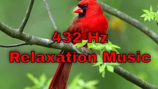 432 hz birds sound and images sounds of nature relaxation music