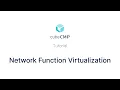 CubeCMP 2 1 - Network Function Virtualization NFV