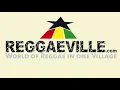 Gentleman & The Evolution - Jah Inna Yuh Life feat. Jacob (SOJA) [Live in Cologne, Germany 5/6/2010]