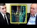 A Neural Network Is a Circuit Richard Karp and Lex Fridman