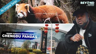 走进中国最大商场：成都的人潮、熊猫、文化与风光