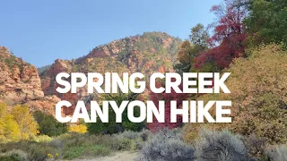 Spring Creek Canyon Hike