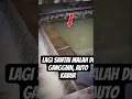Download Lagu woy lagi santai kawan #shorts #animals #funny