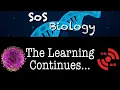 21 - Homeostasis Worksheet