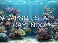 ALGO ESTA CAYENDO AQUÍ PISTA