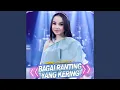 Download Lagu Bagai Ranting Yang Kering