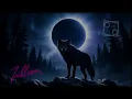 For the Wolfs - original track Frank Verstraeten - Zillion