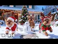 Lagu 24 Hours of Dog TV for Dogs to Watch 🐶🎄 Winter Magic Tunes for Playful Dogs \u0026 Calm Behavior ❄️🛷
