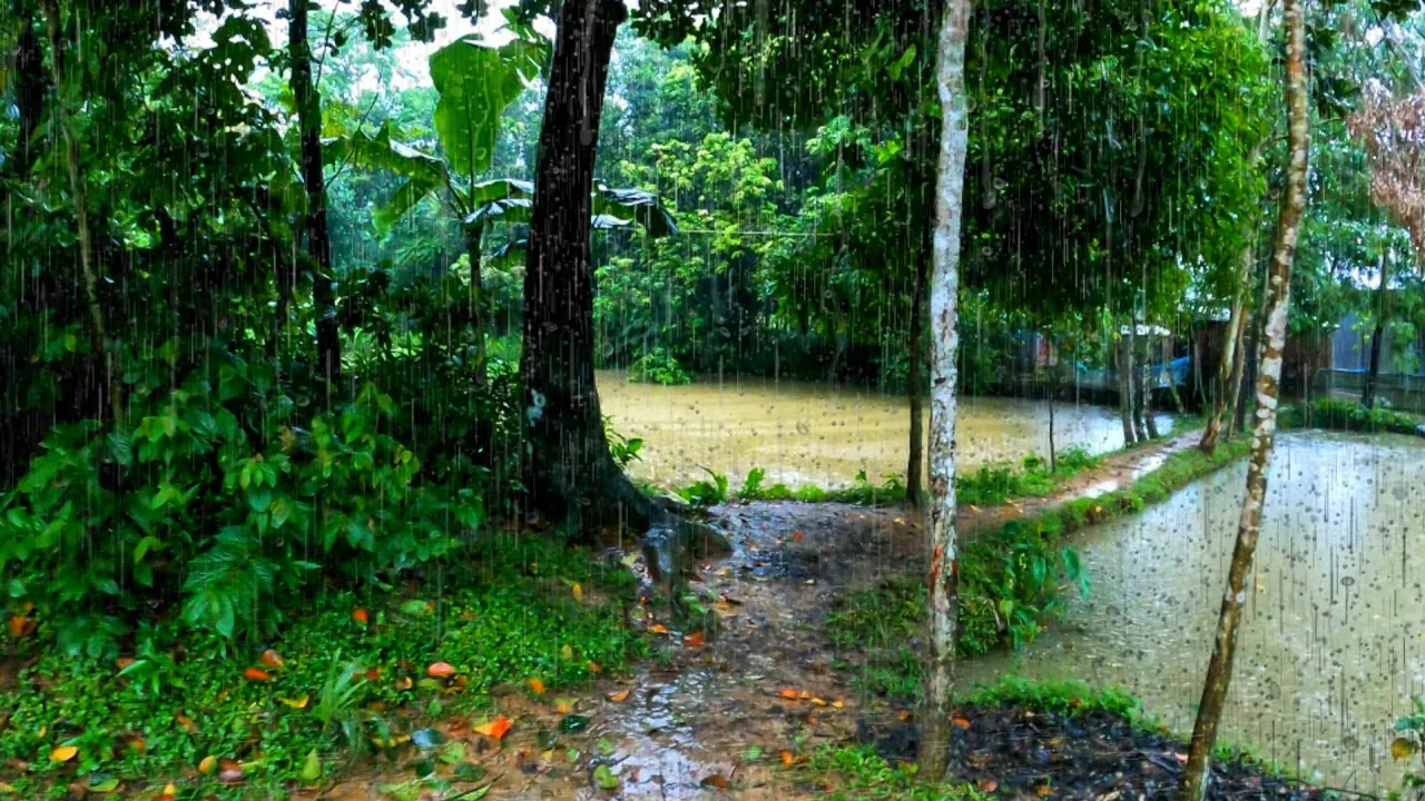 Random walking in my village | Heavy rain | #dailywalking part 13