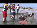 Top 10 Real Mermaids Caught On Camera
