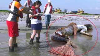 top 10 real mermaids caught on camera