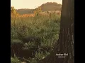 Andrew Bird - Fitz and the Dizzyspells