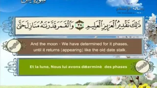 سورة يس   مصطفى اللاهوني دندنها