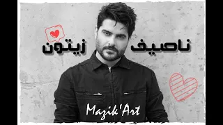 أجمل أغاني ناصيف زيتون ساعة كاملة 