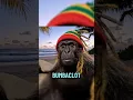 Lagu JAHMUNKEYS RASTA RETREAT