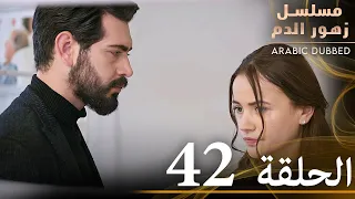 الحلقة 42 مسلسل زهور الدم مدبلج بالعربية Kan Çiçekleri 