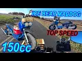 Ice Bear Maddog 150cc Emergency Corn Delivery Top speed Breaking sound barrier