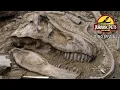 Lagu Die Dinosaurier Mumie - Geheimnisvoller Saurierfund Borealopelta | Dokumentation