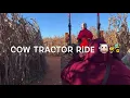 Southern Belle Farm Fun - McDonough GA