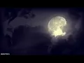 Relaxing Sleep Music • Deep Sleeping Music, Relaxing Music, Stress Relief, Meditation Music
