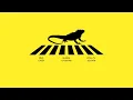 Mike Casey - Iguana Crossing (WPAA TV Session) (2025)