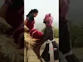 Download Lagu Jagan he nyaar jhal ji #reels #trending #shorts #youtubeshorts