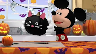 Disney Jr US Continuity October 1 2025  Disney Jr US Continuity October 1 2025