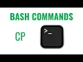 Bash Commands - cp command