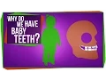 Download Lagu Why Do We Have Baby Teeth? MP3