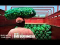 How Mexico Grows Limes On Orange Trees To Supply The US Big Business Business Insider