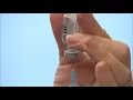 Maine health s react to Trump executive order to change child vaccine schedules