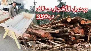 عشان متقولش معرفش لو عندك شجره هشتريها منك بالكيلو 01096655036 ـ 01200116015 