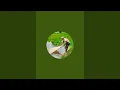 Today Best Live Fishing - New Live Fishing