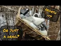 Eagle Claw Shappell Jet Sled - A Quick Honest Review