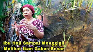 Awal Najur Hasilnya Lansung Bikin Ibu Haji Menggigil