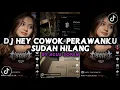 Download Lagu DJ HEY COWOK PERAWANKU SUDAH HILANG | SOUND JJ BY AGUS SOPAN VIRAL TIKTOK