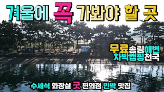 고흥 대전해수욕장 낭만적인 무료캠핑 차박천국 취사 야영 수세식 화장실 고즈넉한 해변 송림아래에서 불멍 물멍, 맛집, 민박, 편의점, 캠핑카여행 차박노지 탐방. 썸네일