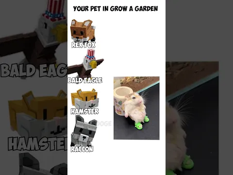 Video Thumbnail: Your pet in Grow a Garden| Doge Gaming