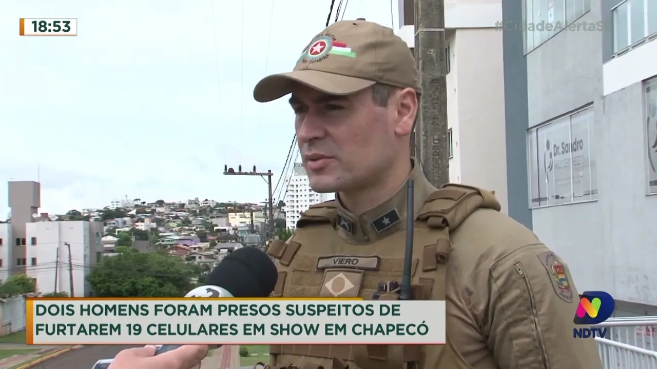 Polícia Militar apreende pé de maconha "gigante" em Tubarão