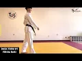 Basic Form Lv 1 White