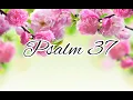 Psalm 37 - NLT visual